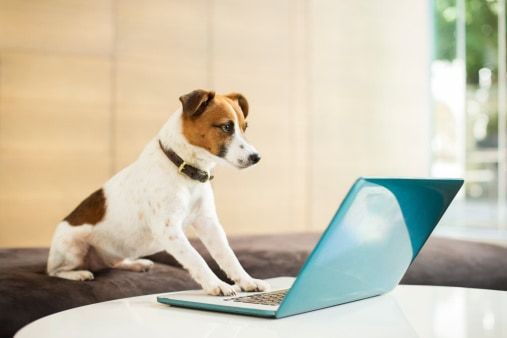Odoo • Image and Text