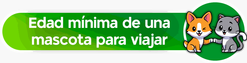 Odoo • Imagen y texto