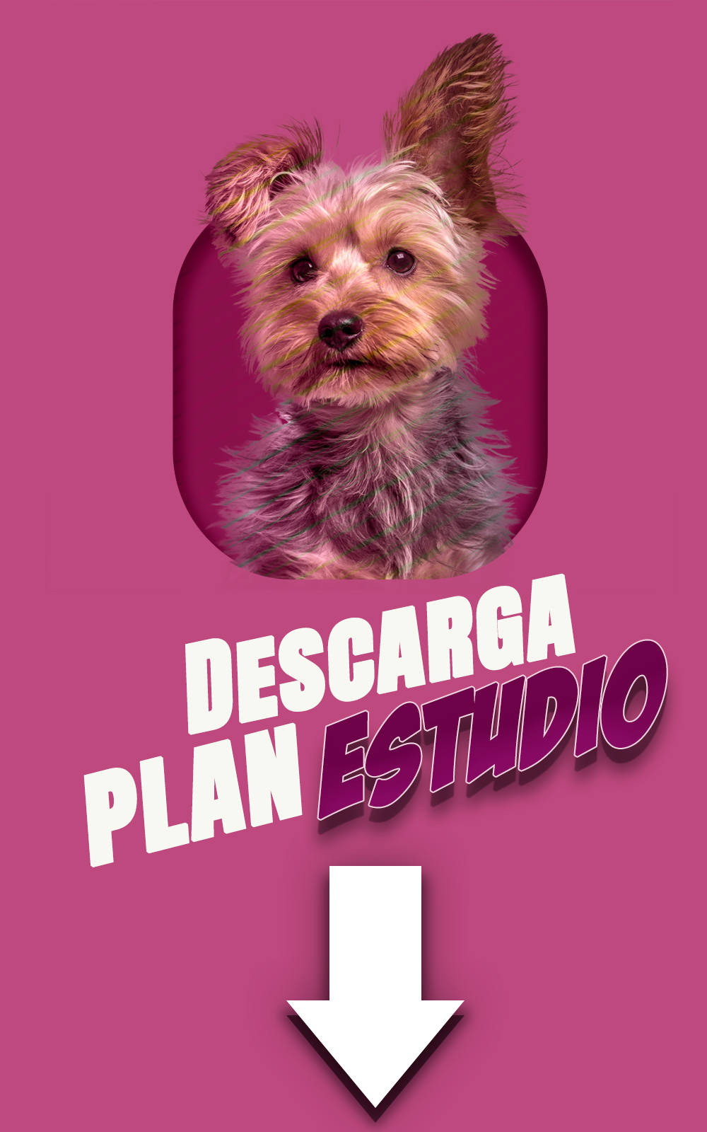 Odoo • Una imagen con una leyenda
