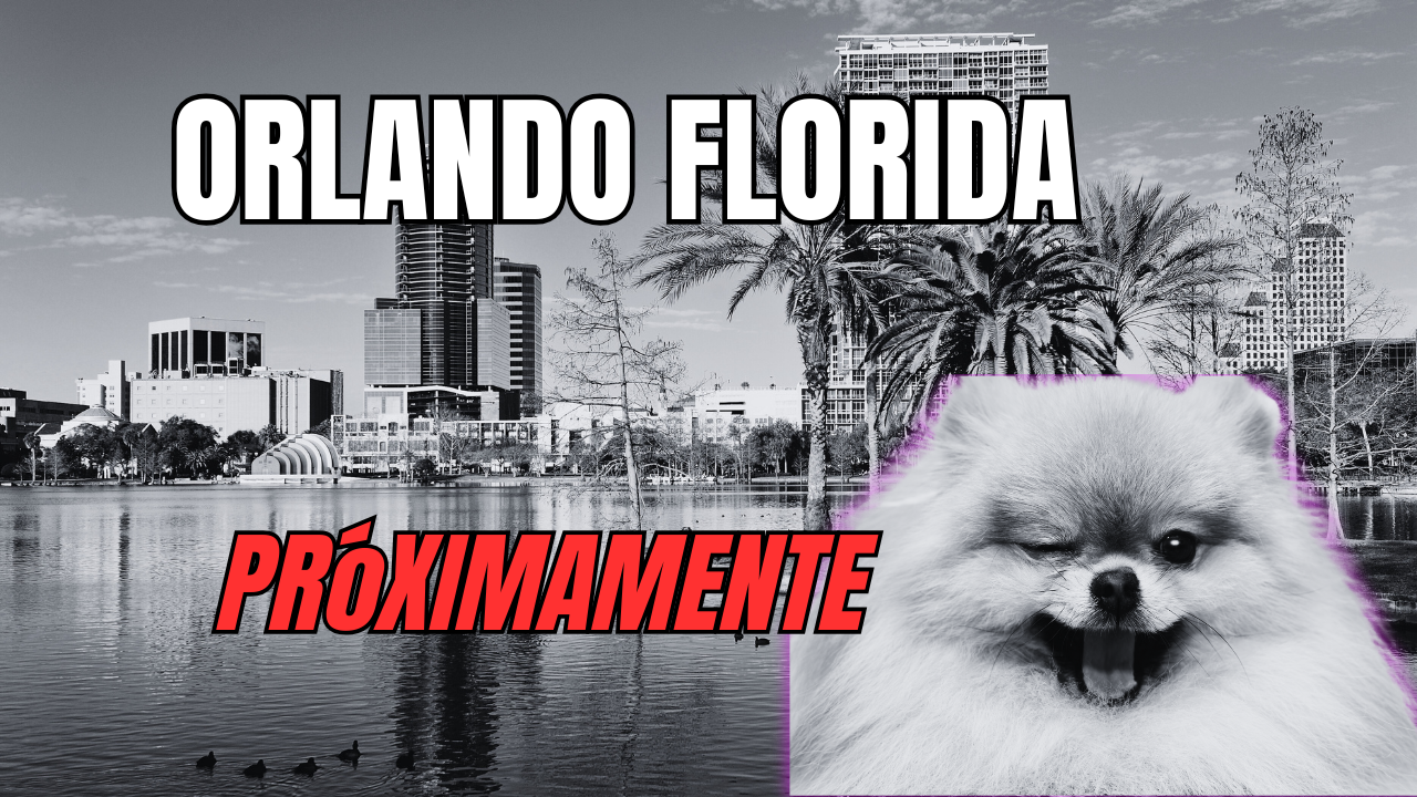 Peluquería canina en estados Unidos