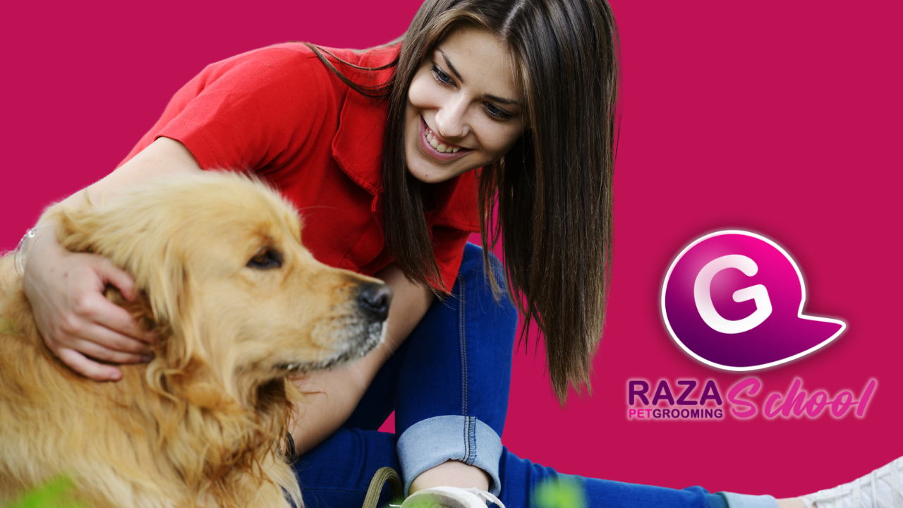 Cursos de peluquería canina en Bogotá