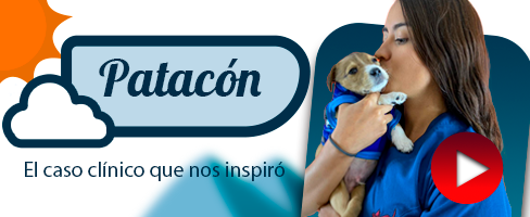 Odoo • Imagen y texto