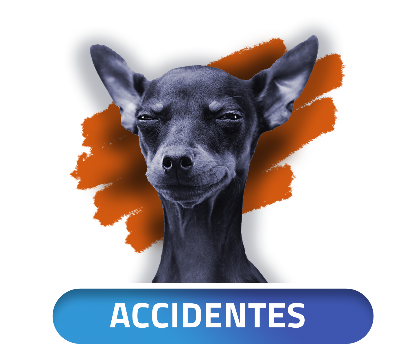 Odoo • Imagen y texto
